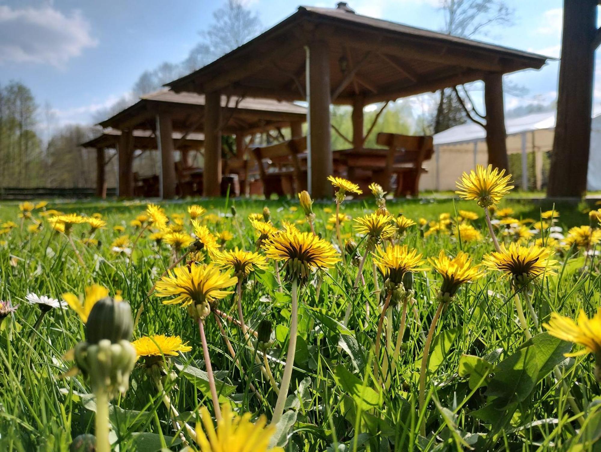 Mazowieckie Siolo Julianowka Extérieur photo
